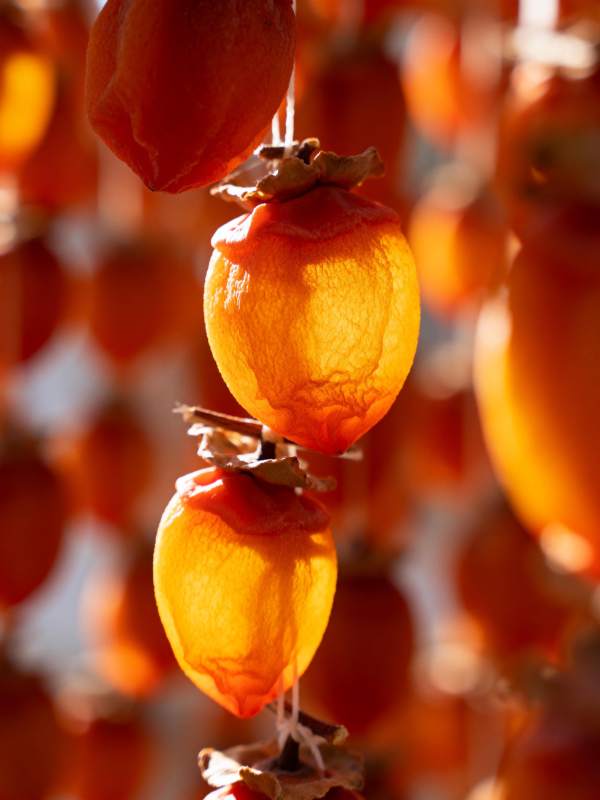 柿子串串挂秋光图片