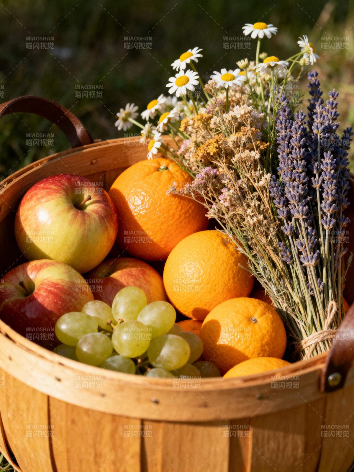 秋日果篮静物图片