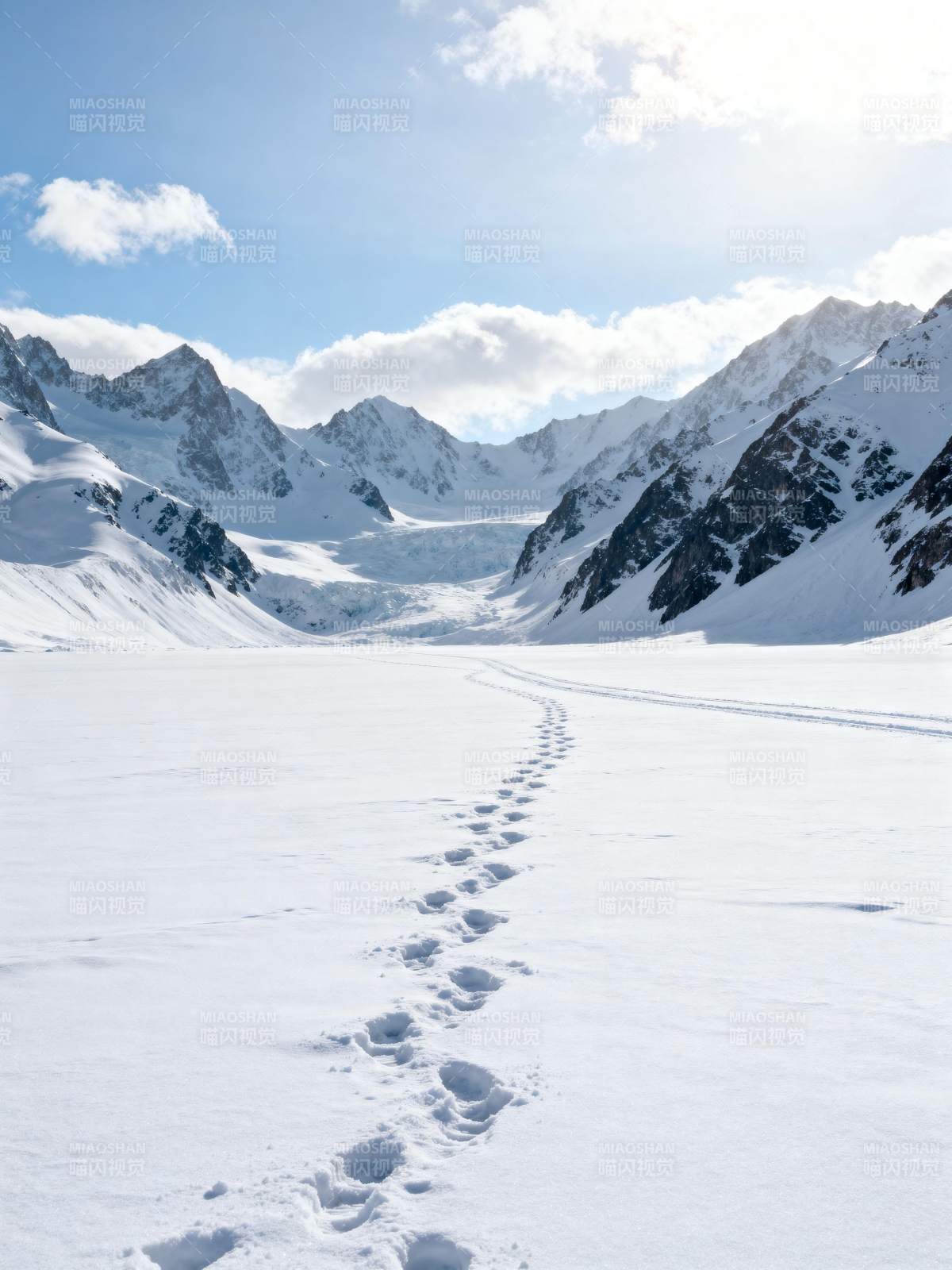 雪原足迹图片