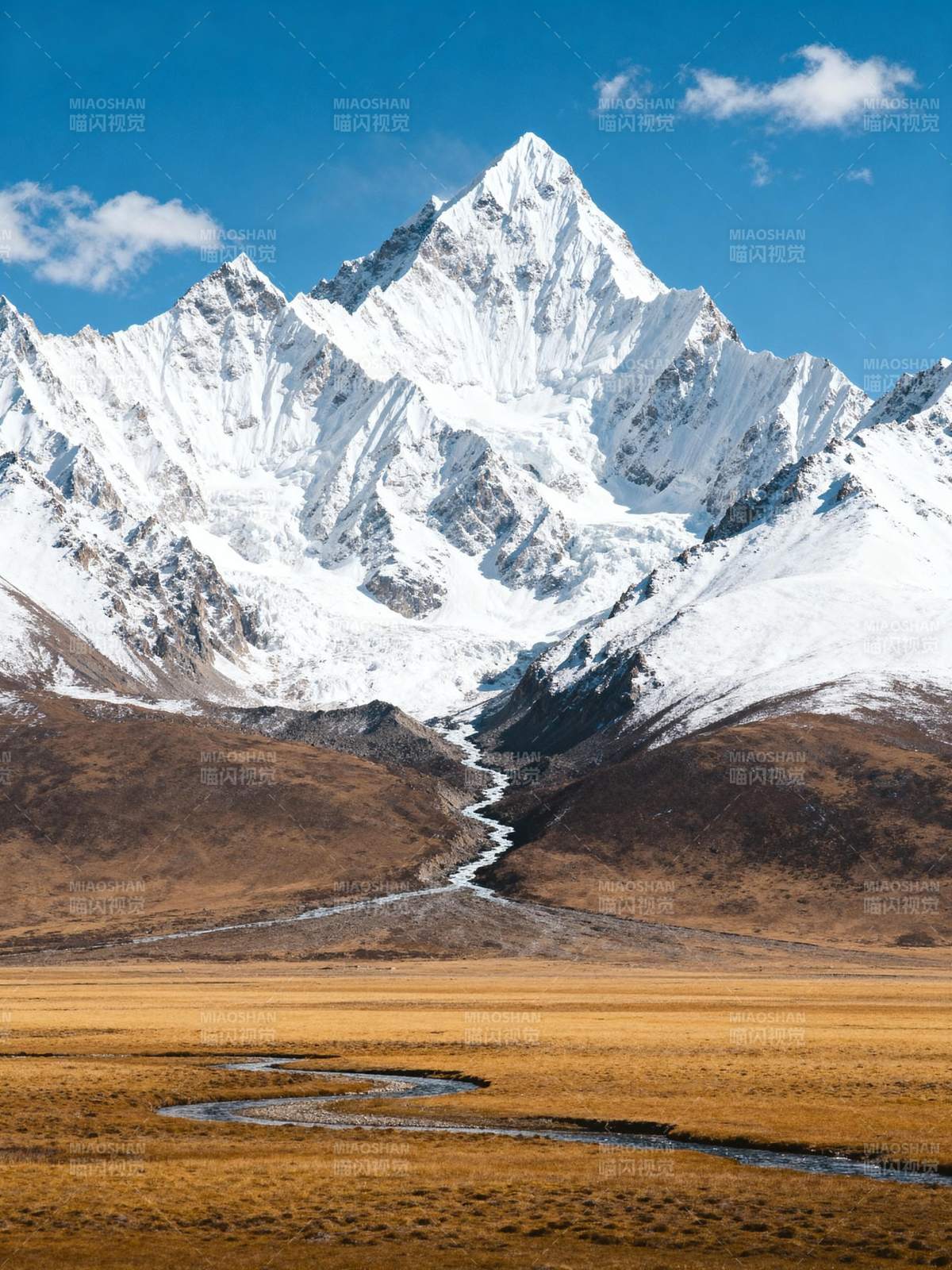 雪山草原风光图片