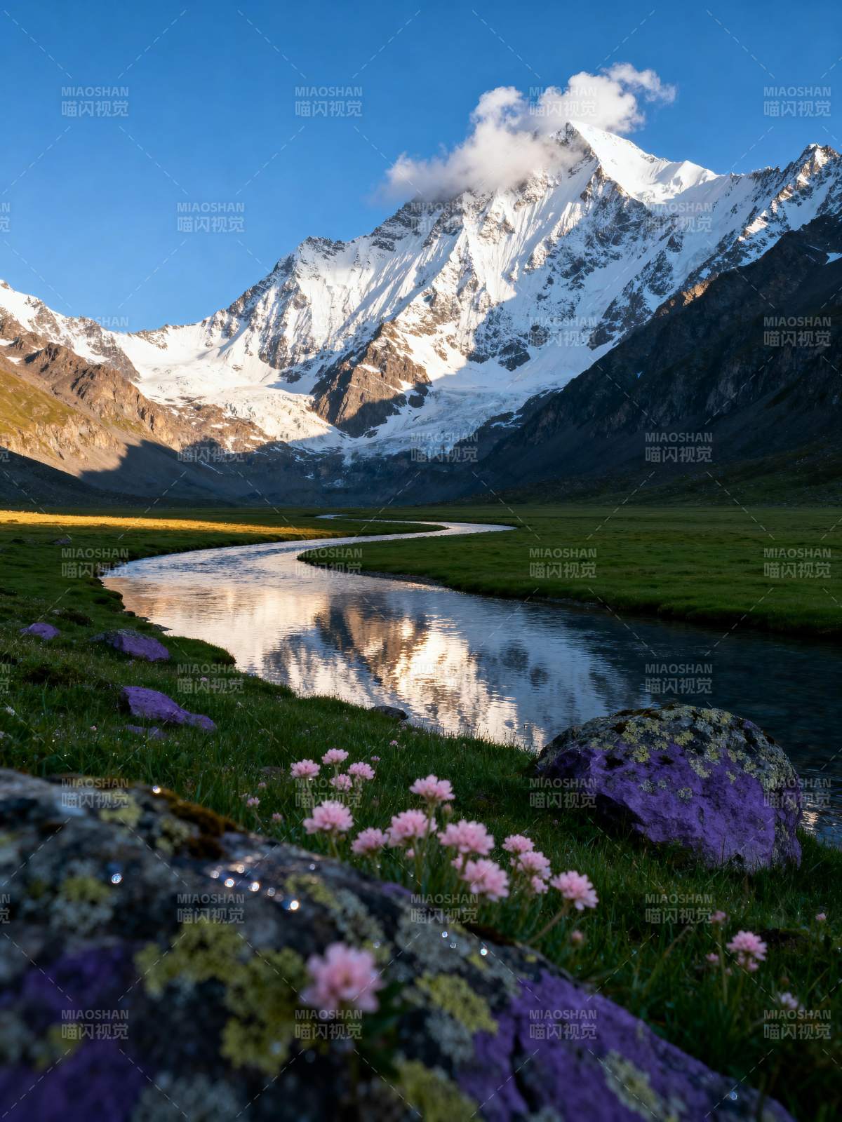 雪山映溪花图片