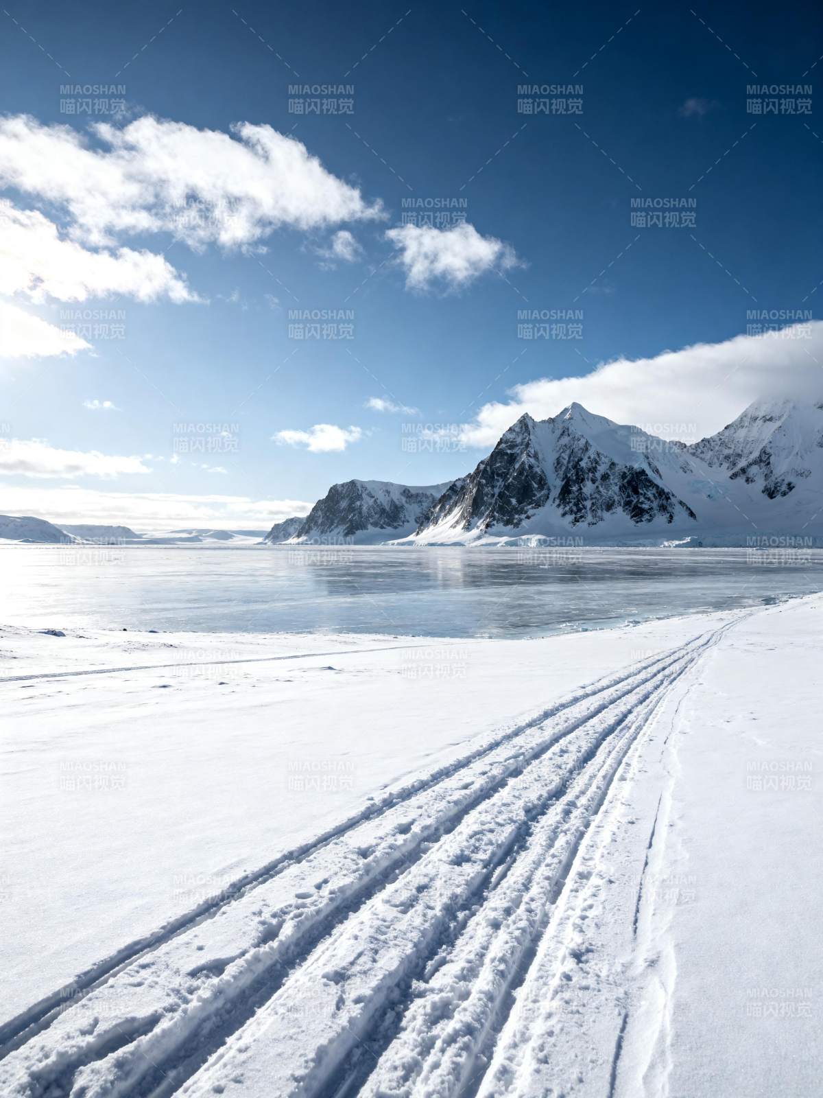 雪原上的足迹图片