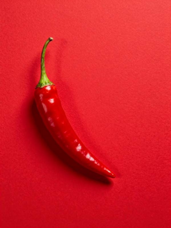 红辣椒静物图图片