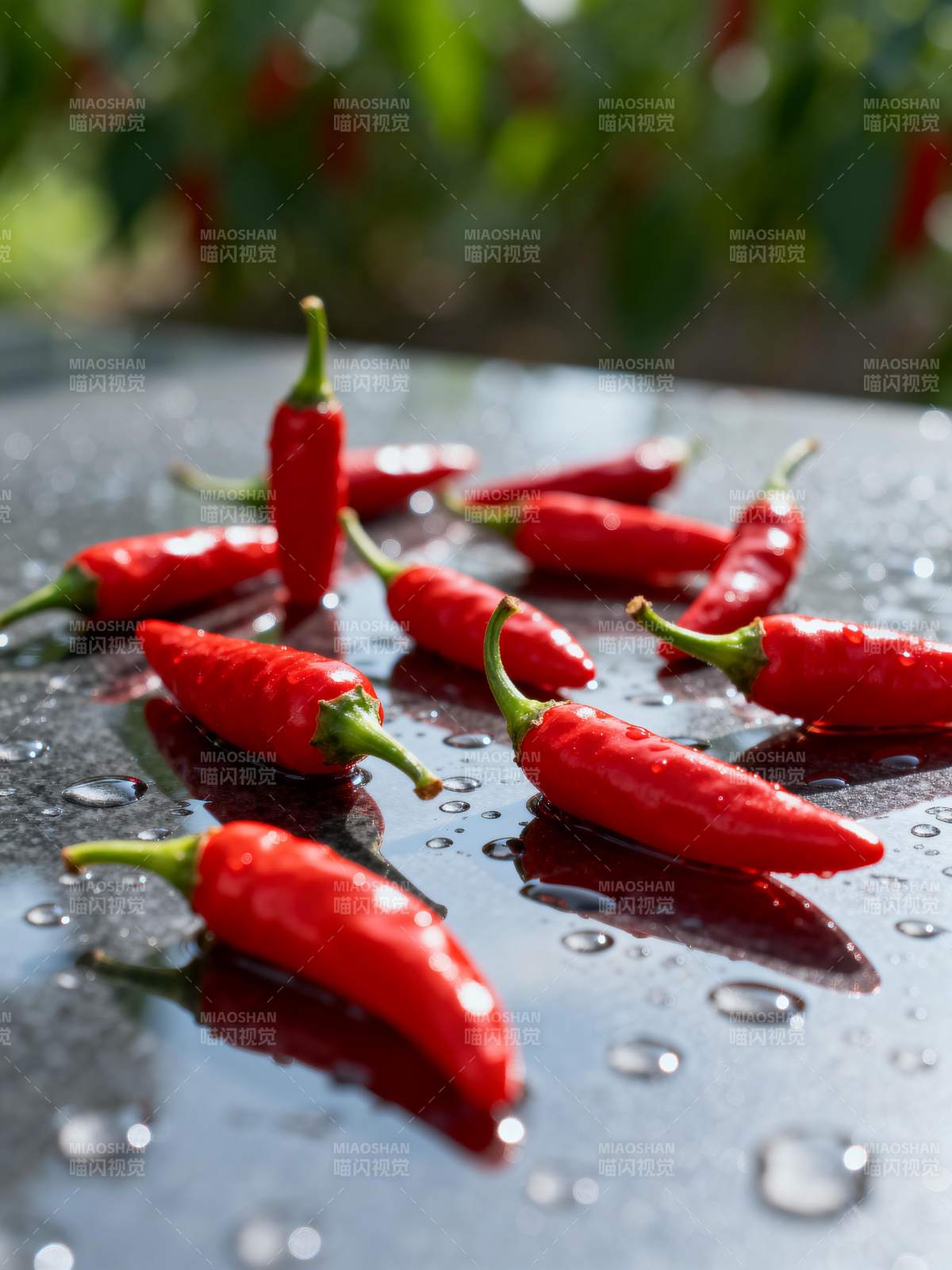 红椒水珠映光图片