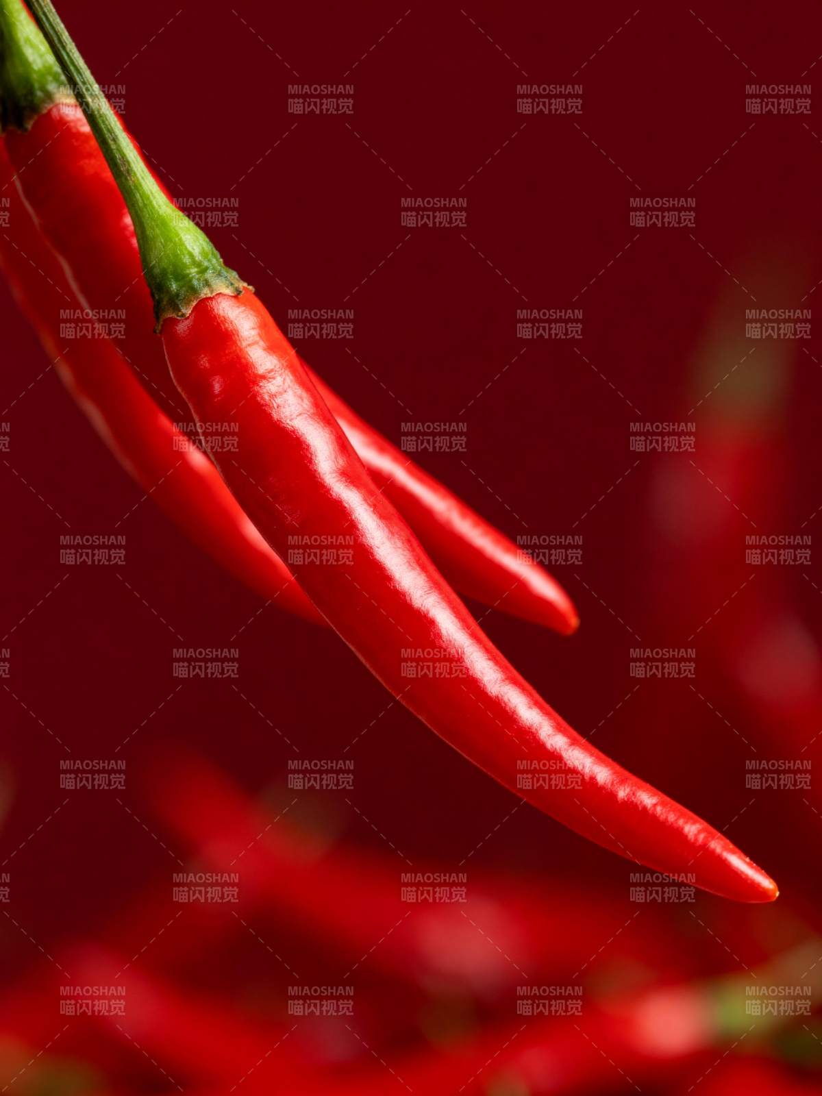 红辣椒特写图片