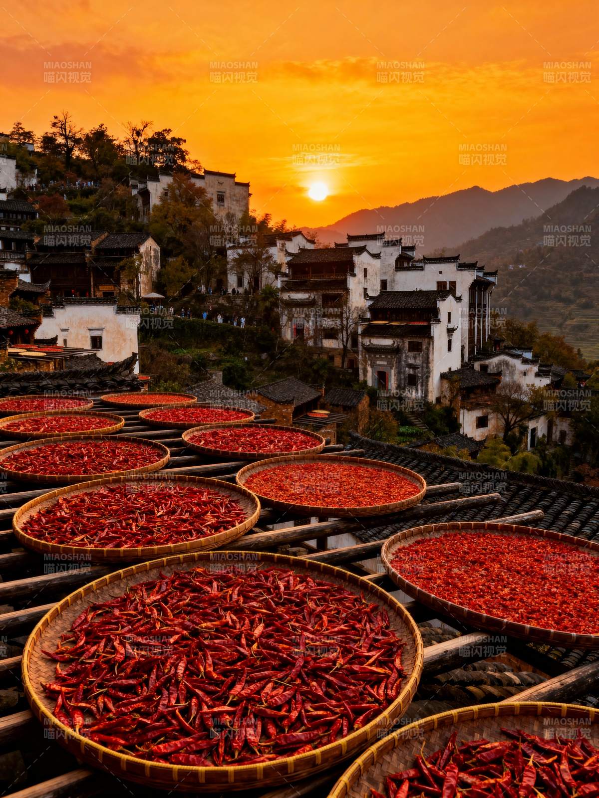 晒秋夕阳红图片