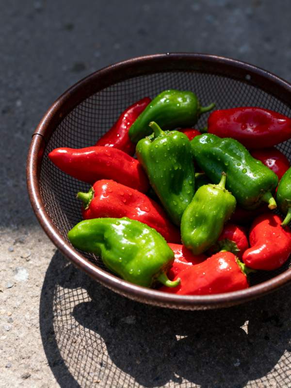 红绿辣椒盛碗中图片