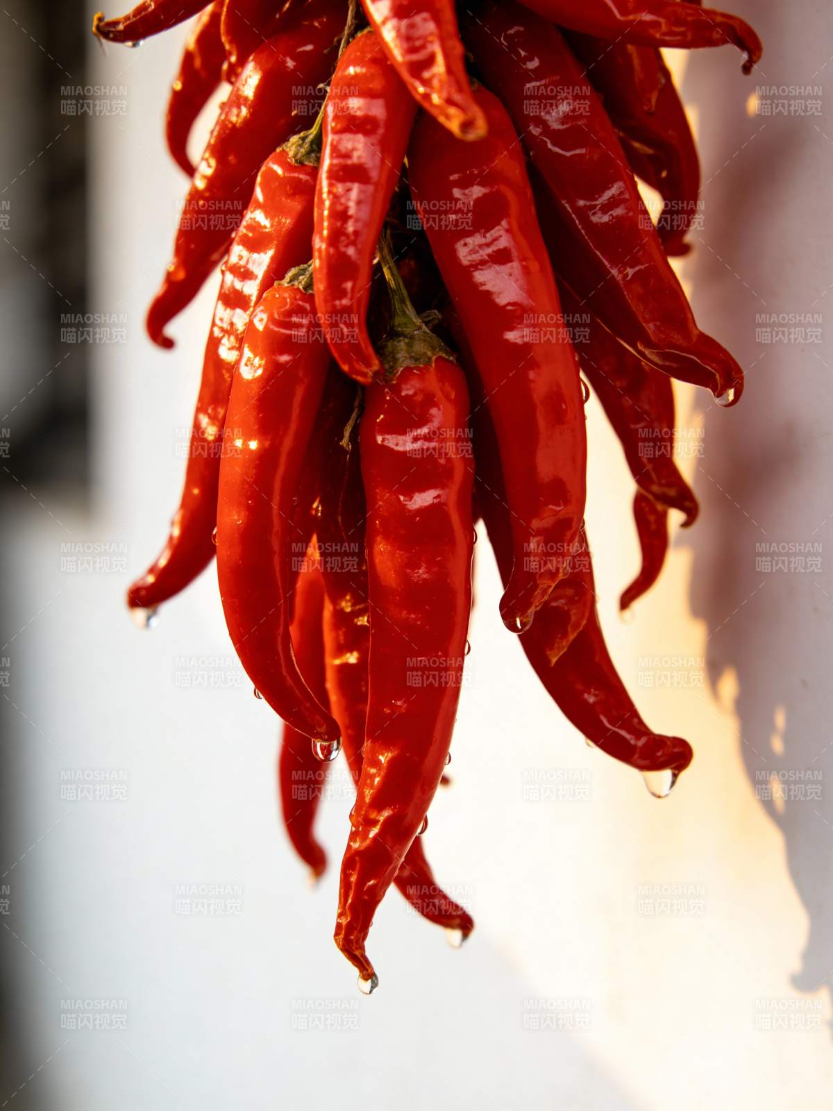 红椒垂挂 鲜亮诱人图片