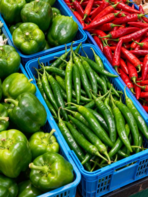 新鲜辣椒蔬菜展示图片