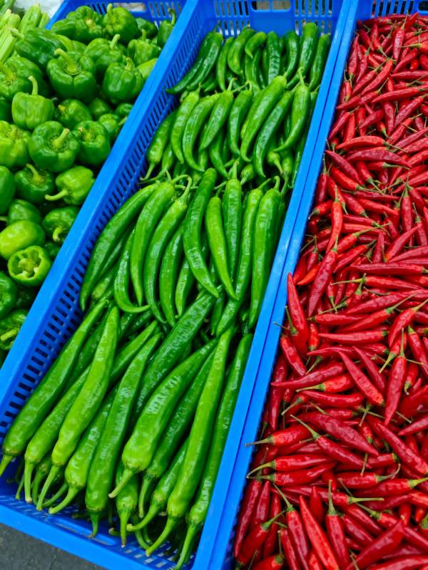 三色辣椒陈列图图片