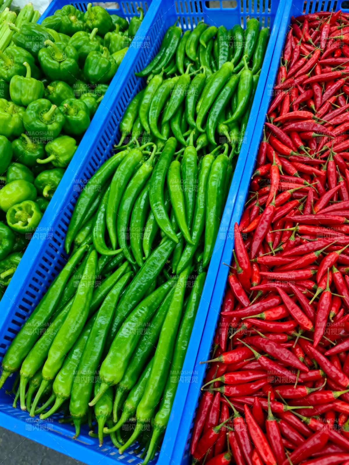 三色辣椒陈列图图片