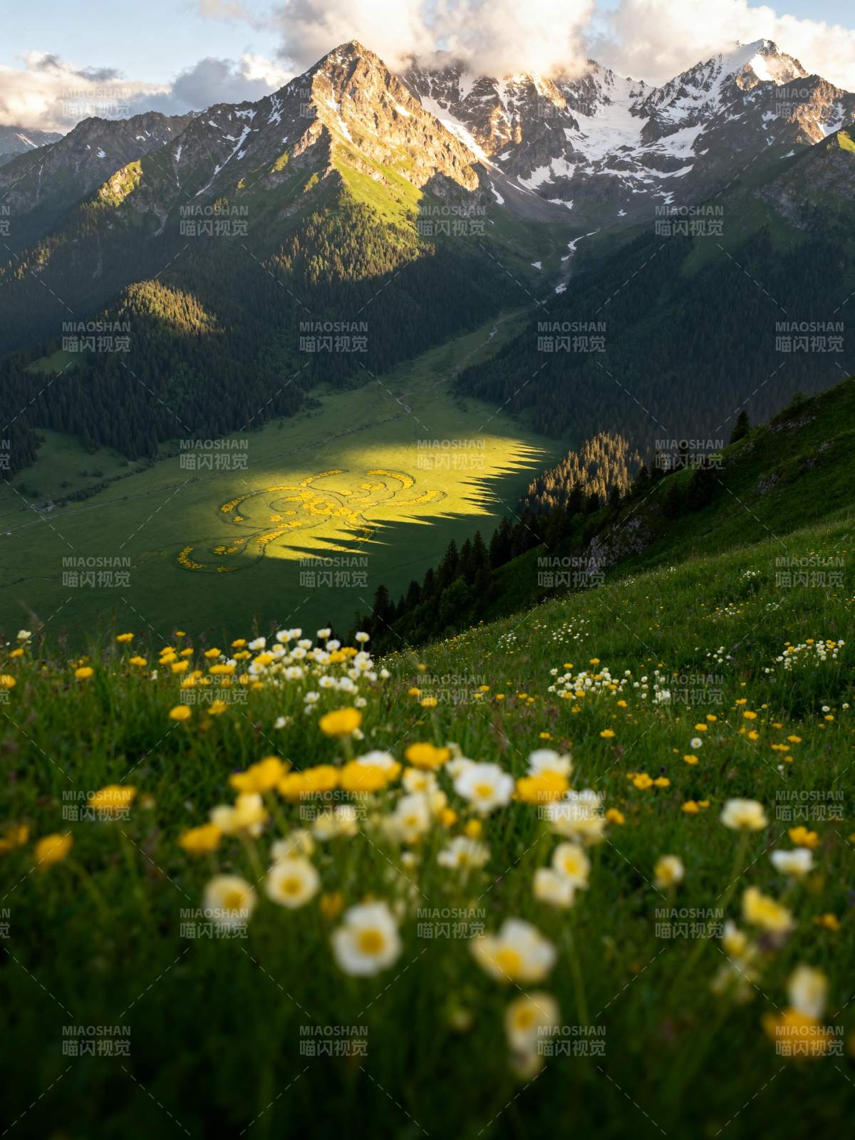 高山花海晨光图片