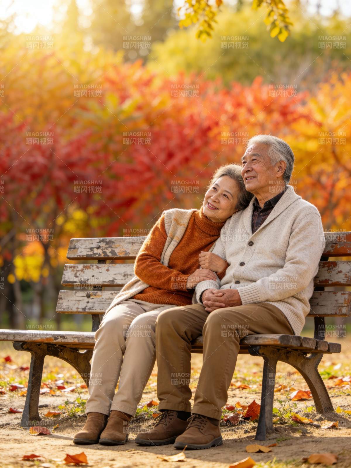 秋日相伴 岁月静好图片