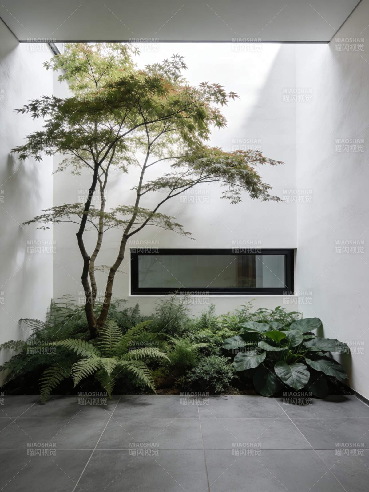 室内绿意庭院图片