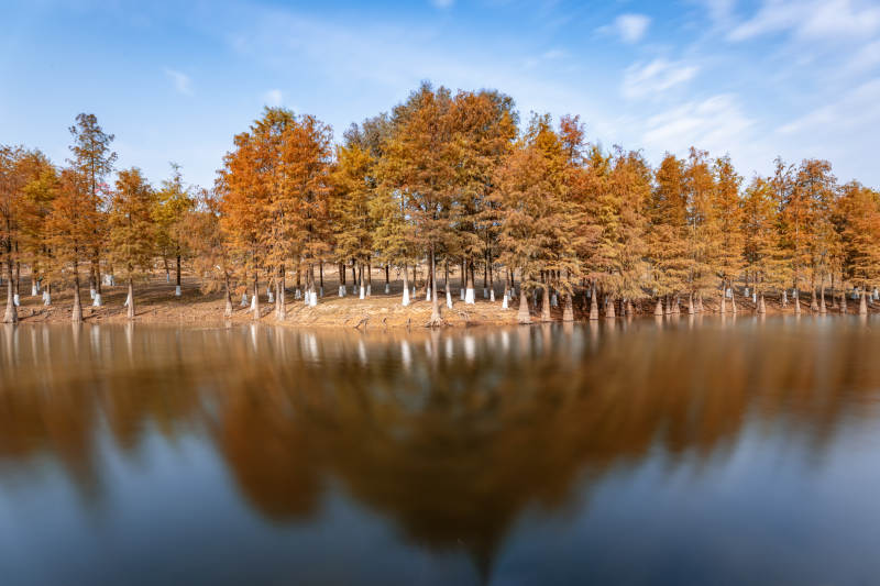 东莞松山湖秋林倒影湖中图片
