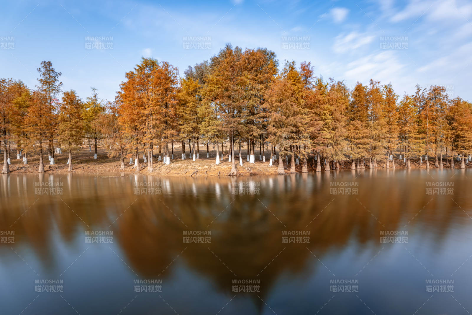 东莞松山湖秋林倒影湖中图片
