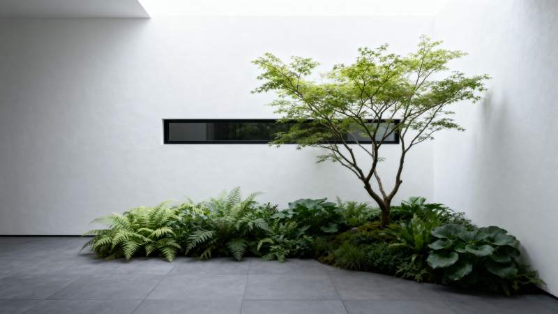 庭院绿意盎然图片