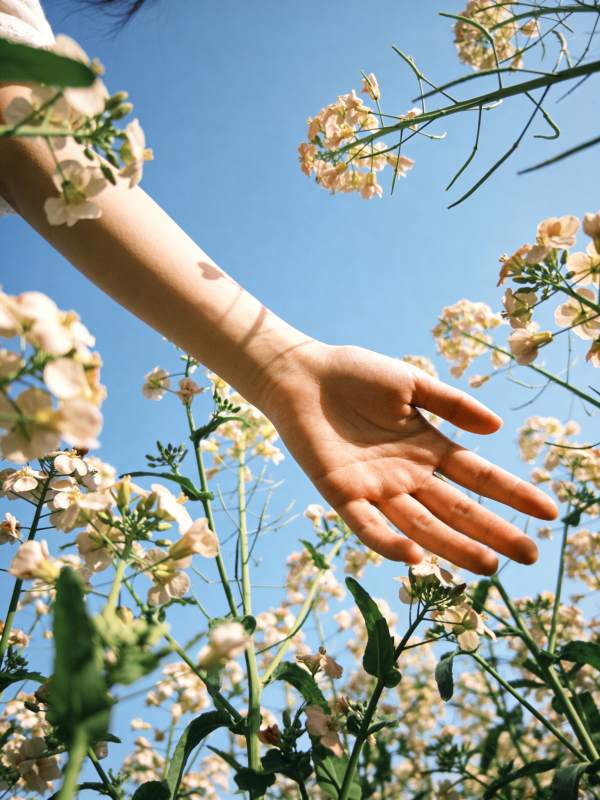 花间伸展的手图片