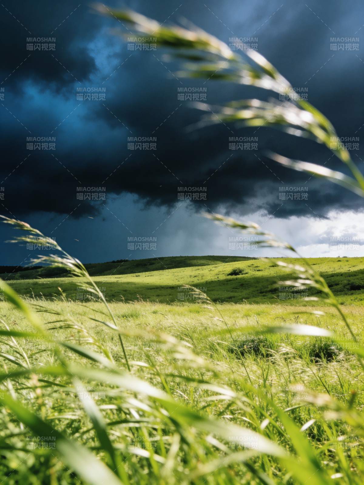 风暴前的草原图片