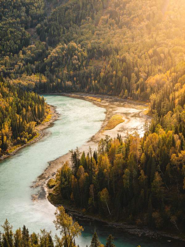 秋林溪流美景图片