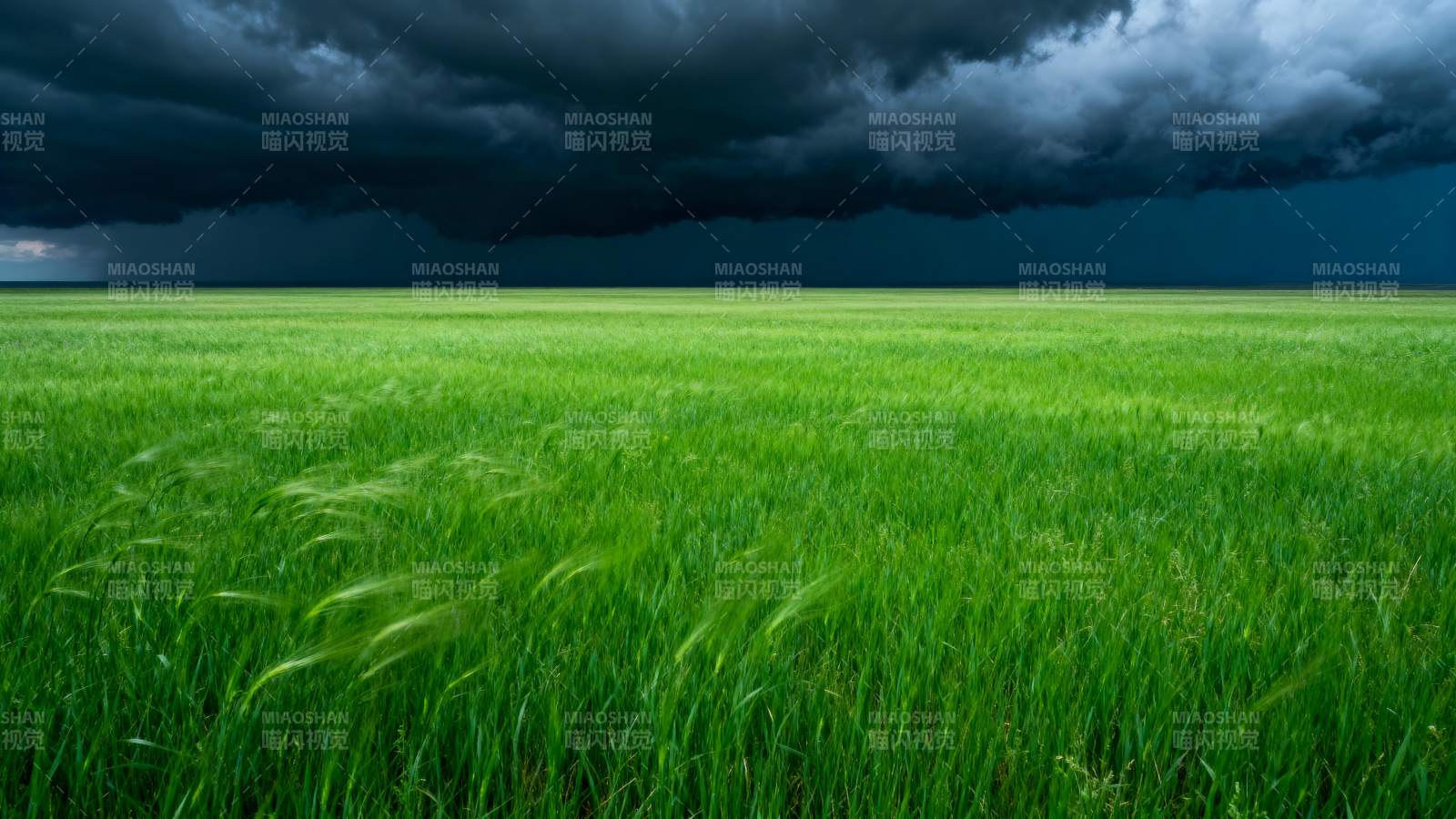 绿野风暴将至图片