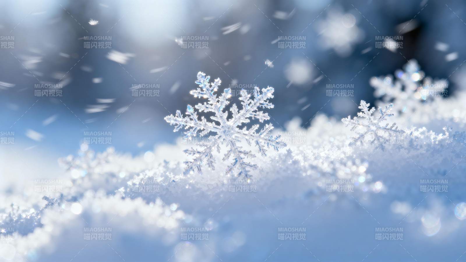 雪落晶莹图片