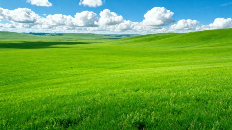 绿野蓝天 心旷神怡图片