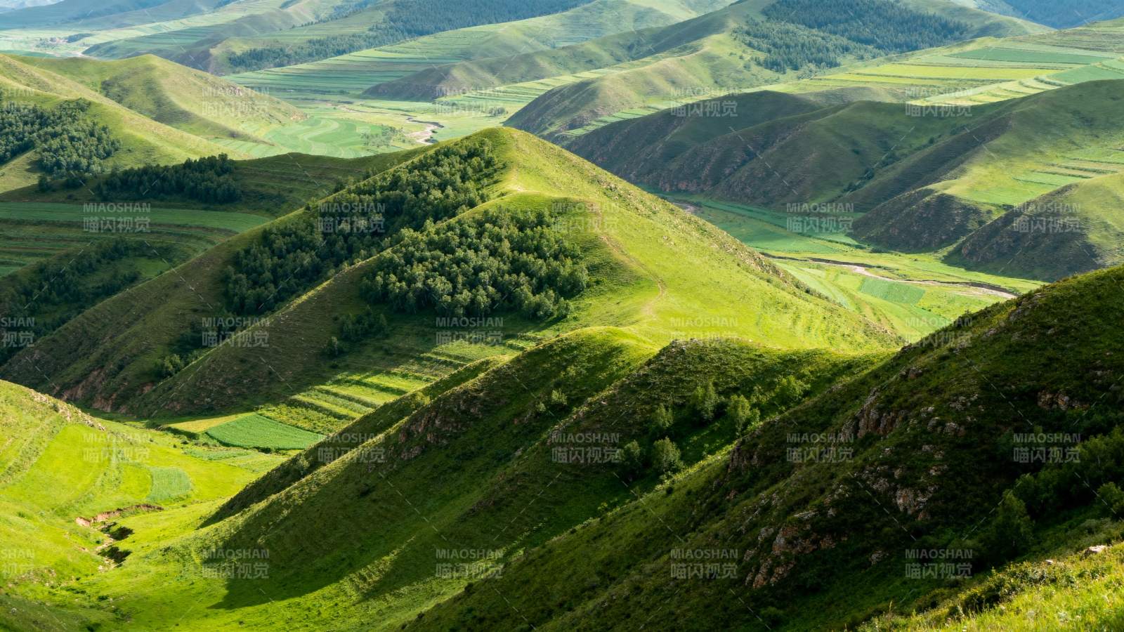 绿野山峦画卷图片