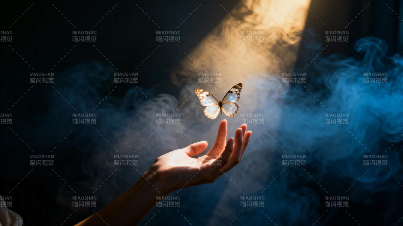 蝶舞光影间图片