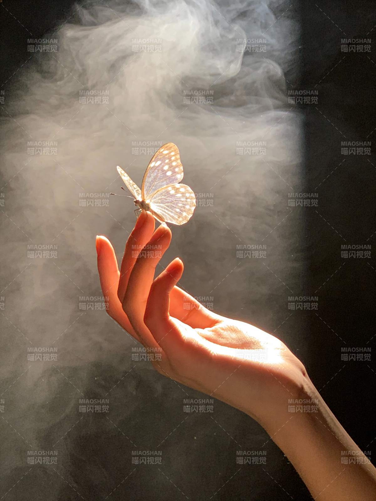 蝶舞烟中图片