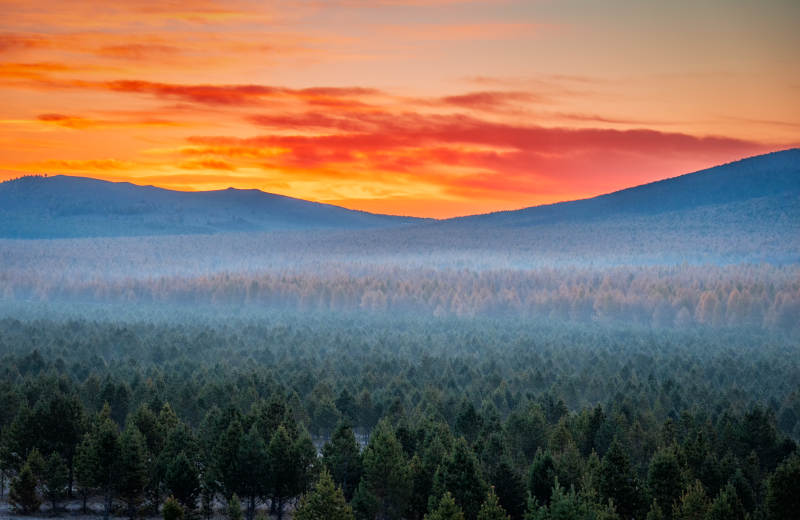 晨雾森林日出朝霞风光图片