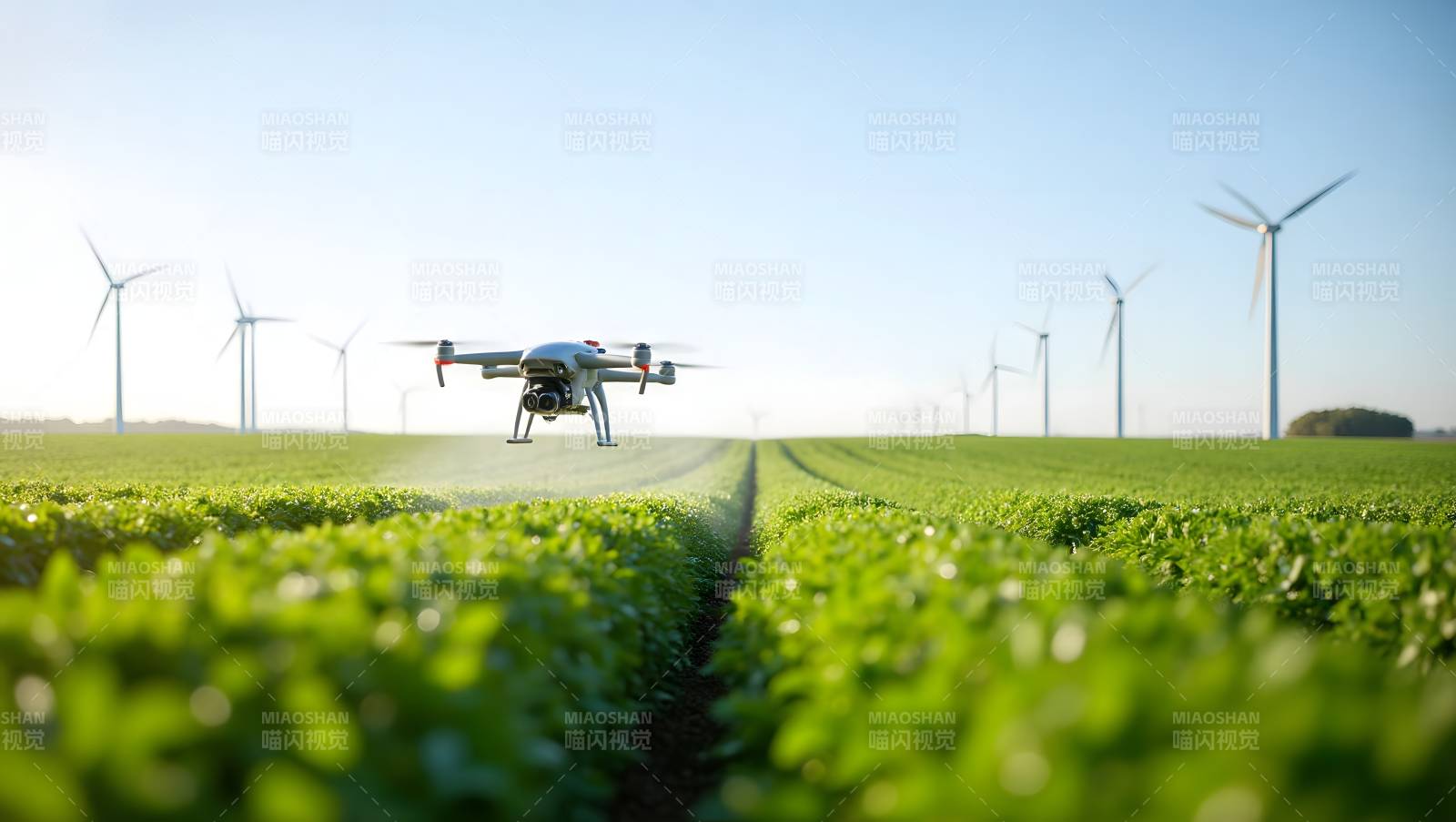 无人机巡田图片