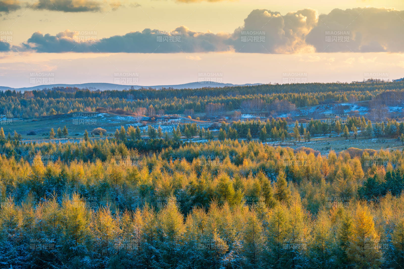 阳光洒在秋天的森林上图片
