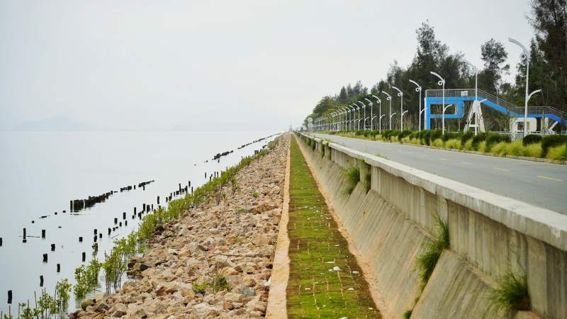 江门新会银湖湾长堤风光图片