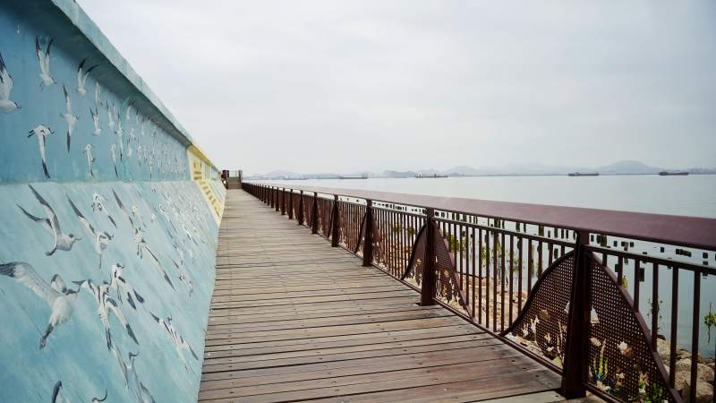 银湖湾海边栈道风光图片