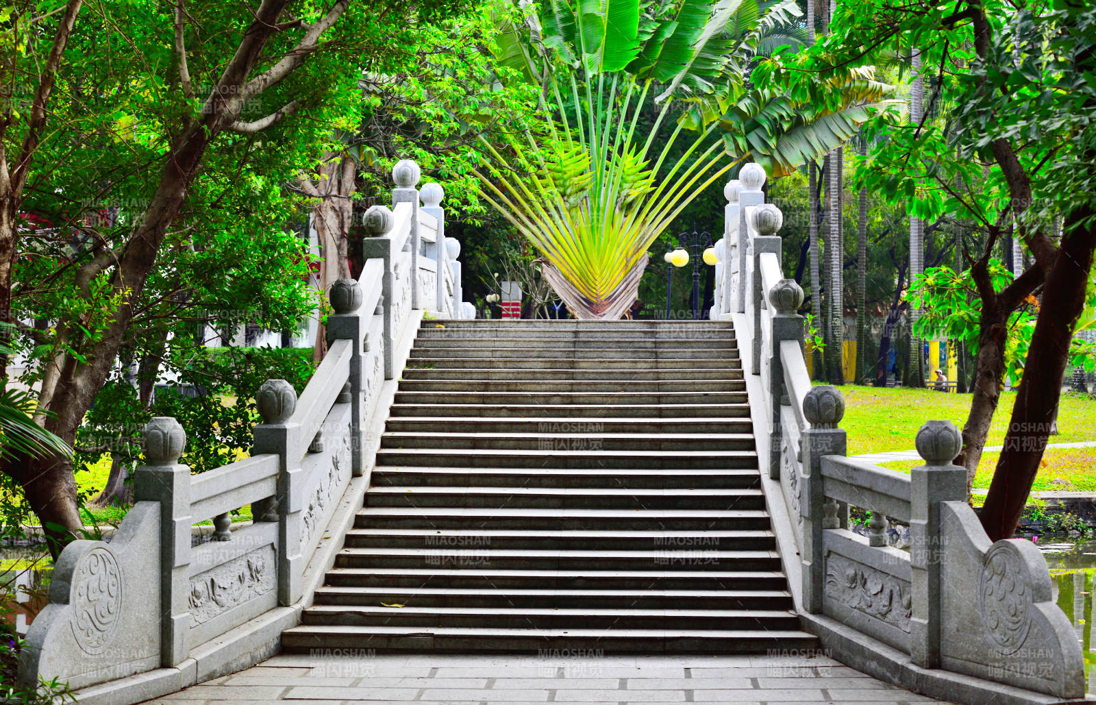 石桥绿荫步道图片