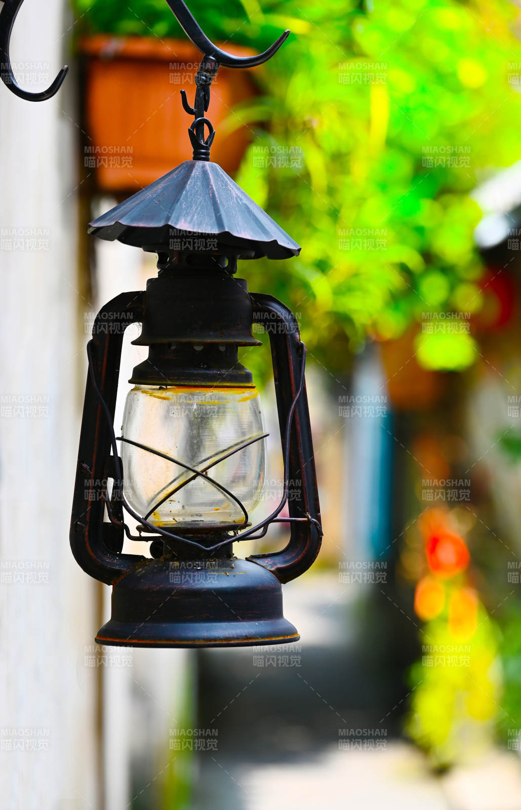 古灯悬于绿意间图片