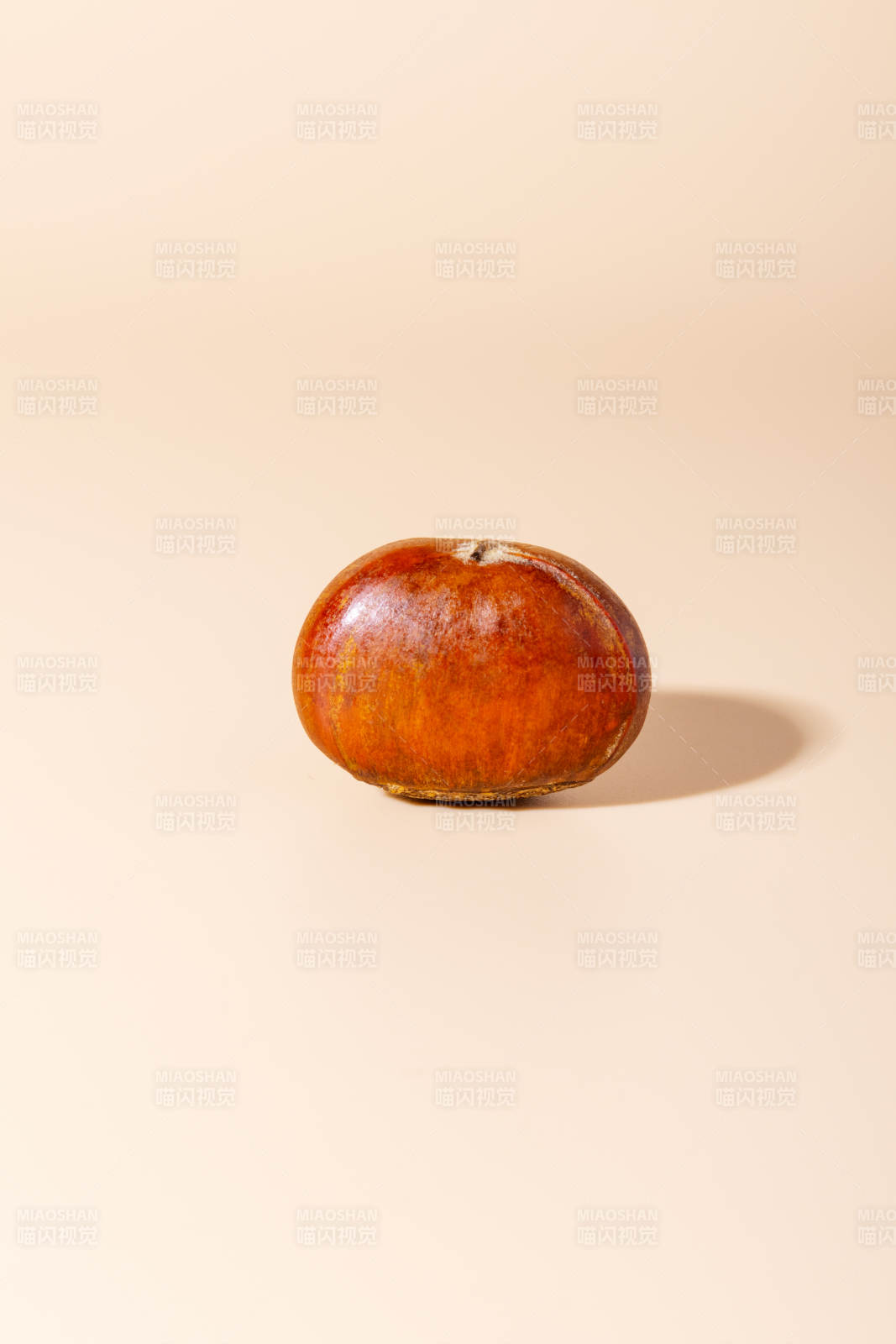 一颗栗子静置特写图片