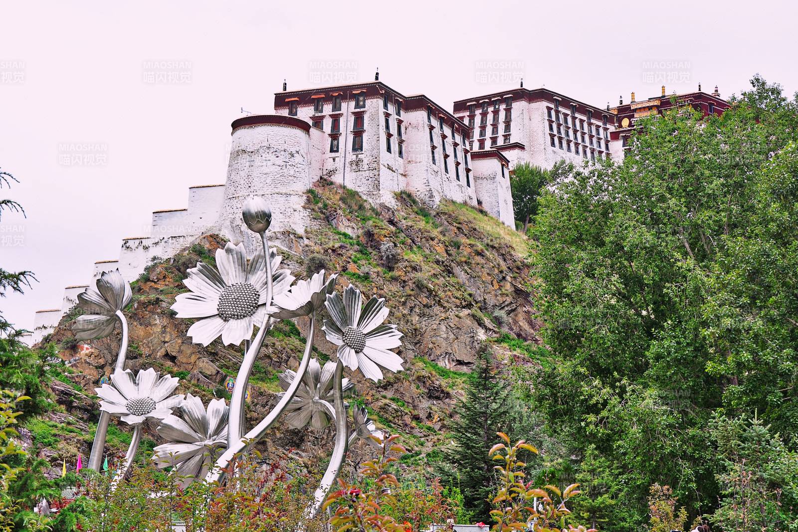 布达拉宫花影图片
