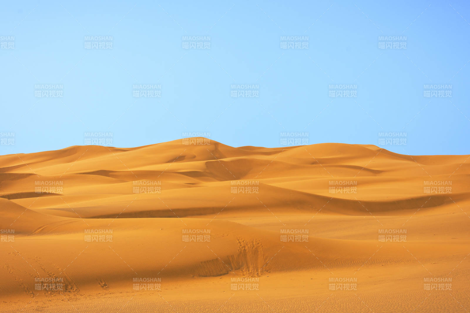 库木塔格沙漠的金色沙丘连绵起伏图片