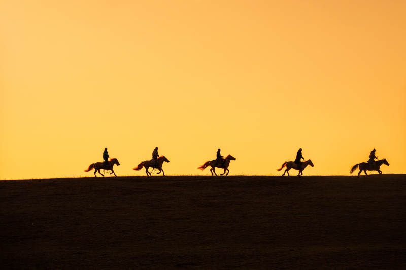 夕阳下的骑马剪影图片
