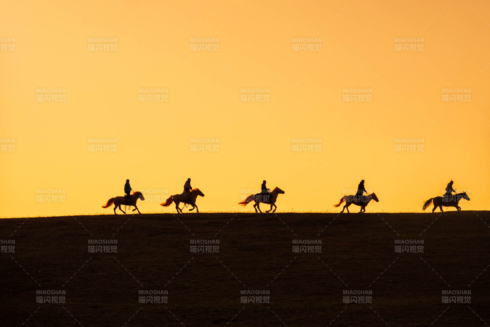 夕阳下的骑马剪影图片