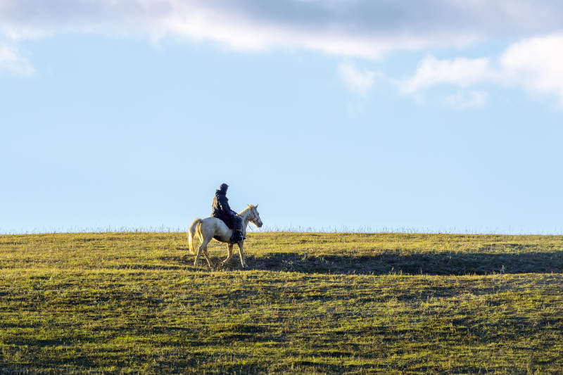 草原骑马人图片