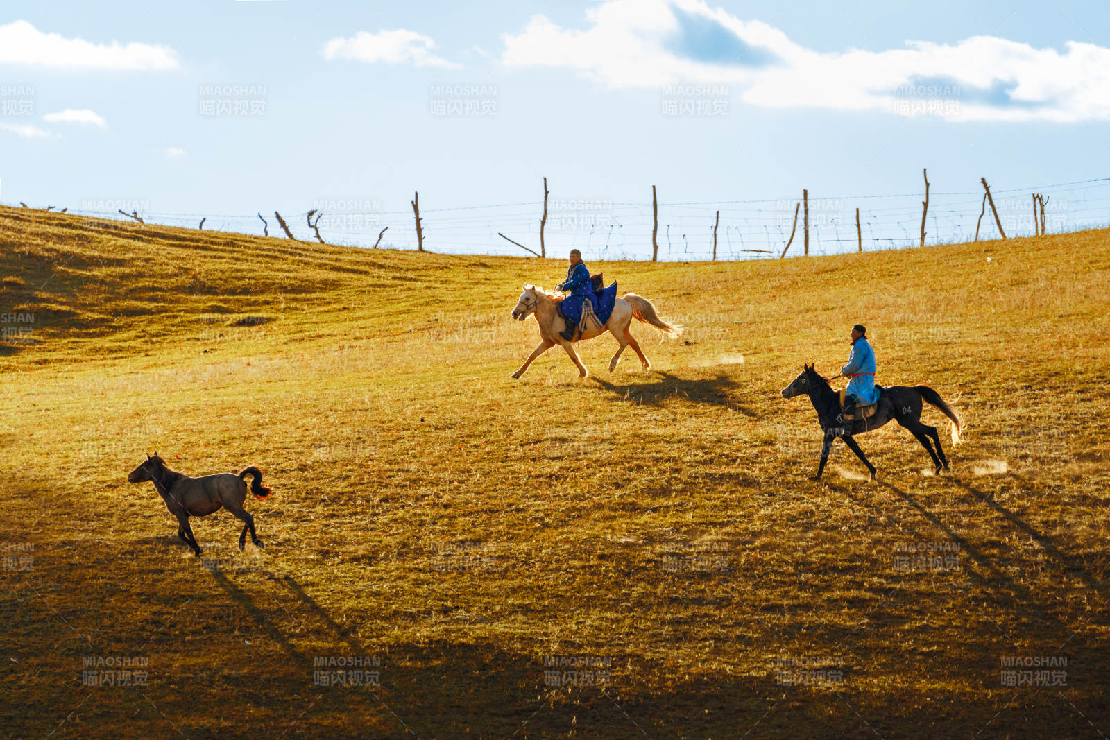 草原骑马追马图片