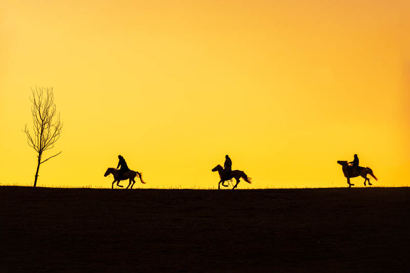 夕阳下的骑手剪影图片