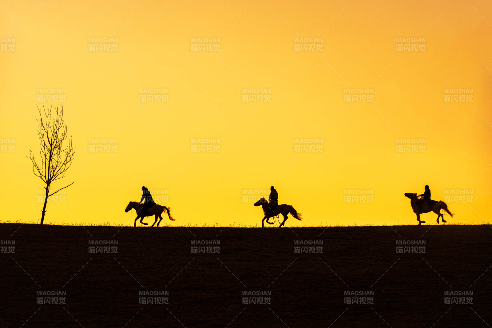 夕阳下的骑手剪影图片