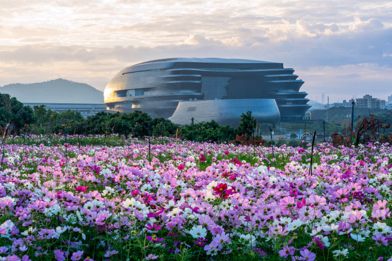 深圳光明科学馆与格桑花花海图片