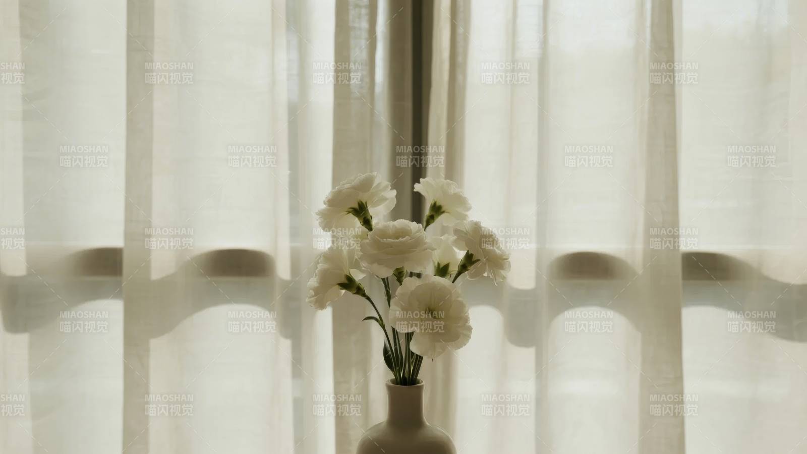 窗边白花静谧美图片