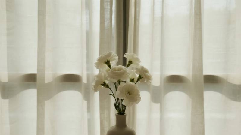 窗边白花静谧美图片