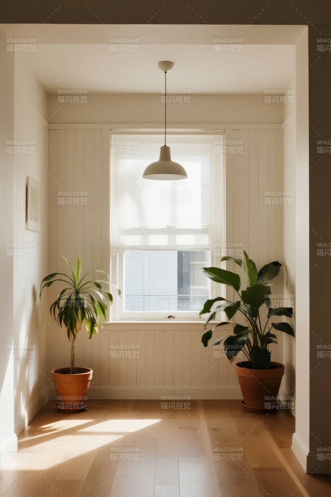 阳光下的绿植角落图片